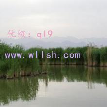 ǰ