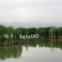 ջ